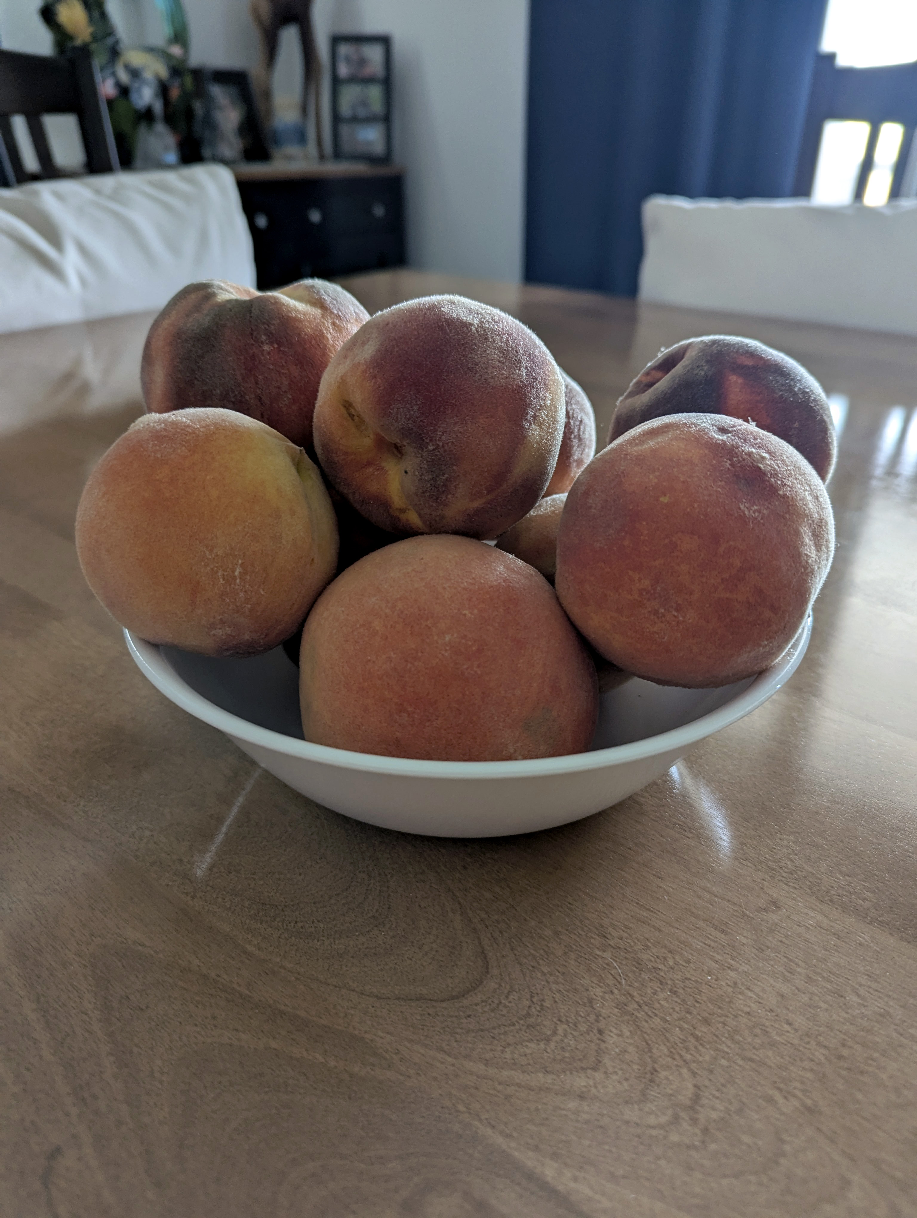 Palisades Peaches, Morrison, Colorado